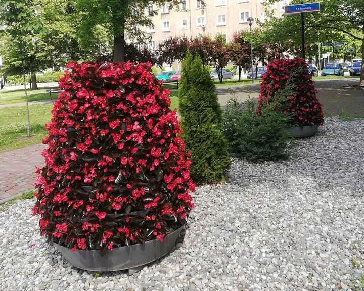 Historia rzeźb kwiatowych